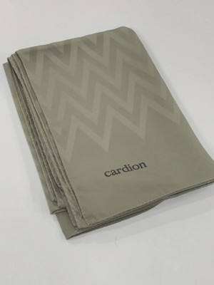 Cardion Jakarlı Şal Zigzag Desen Fildişi