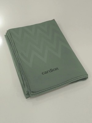 Cardion Jakarlı Şal Zigzag Desen Mint Yeşili