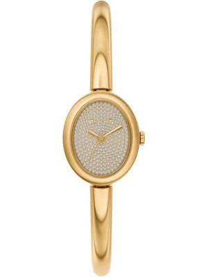 Michael Kors MK7593 Kadın Kol Saati