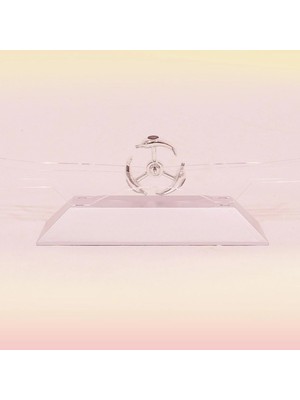 Aylina Mey Ithalat®  Dekoratif Masa Üstü Obje Manyetik Kinetik Orbital Dönen Yunuslar