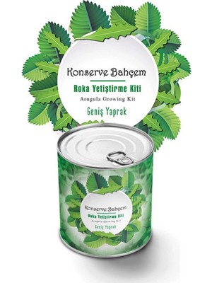 Aylina Mey Ithalat®  Konserve Bahçem Evde Konservede Iri Yapraklı Roka Yetiştirme Kiti