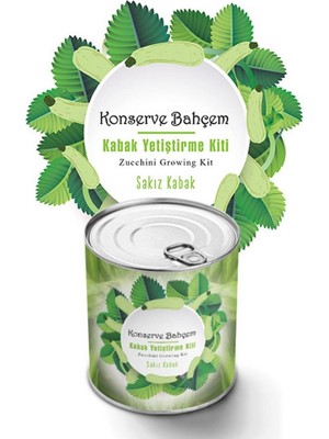 Epilons Z&k Market® Konserve Bahçem Evde Konservede Sakız Kabak Yetiştirme Kiti
