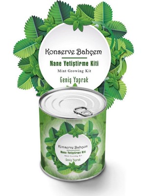 Epilons Z&k Market® Konserve Bahçem Nane Yetiştirme Kiti