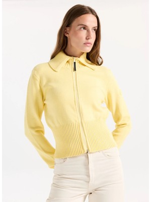 Discovery Expedition D5WL-HRK3550 Sarı Standart Düz Kadın Hırka