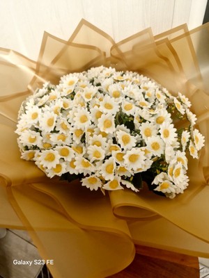 Sabrina Organizasyon Papatya Çiçek Buketi