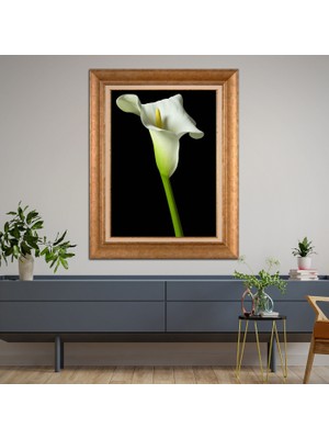 Giyense Altın Varaklı Çerçeveli Paspartulu Tablo NS058