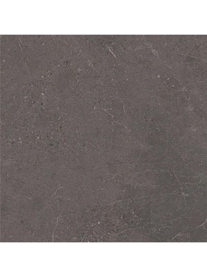Vitra 60X60, Meteorite, Fon, Gri, R10B K953497R0001VTE0 (1,44M2)