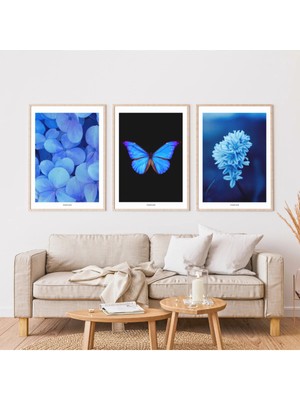 Pixaflair - Blue Origin - Ev Dekor Poster - Çerçevesiz 3'lü Tablo Seti