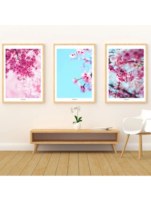 Pixaflair - Cherry - Ev Dekor Poster - Çerçevesiz 3'lü Tablo Seti