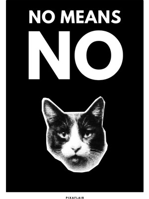 Pixaflair - No Means No - Çerçevesiz Poster