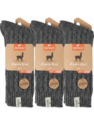 NordSox Erkek Alpaka Yün Çorap 3’lü Paket