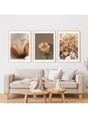 Pixaflair - Brown - Ev Dekor Poster - Çerçevesiz 3'lü Tablo Seti