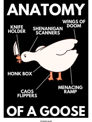 Pixaflair - Anatomy Of A Goose - Çerçevesiz Poster
