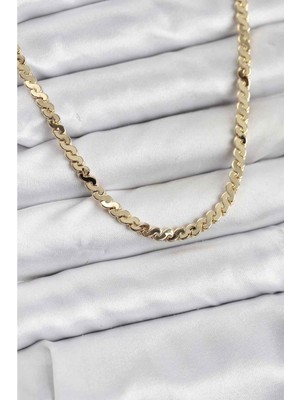 Ayder Timya Pirinç Gold Renk Yassı Zincir Kadın Kolye - TJ-BKO10818 TG/Tmy228623
