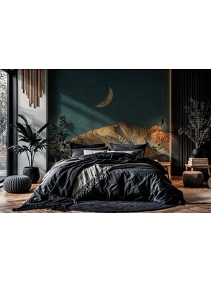 Ay ve Gökyüzü Efektif 3D Poster Duvar Kağıdı