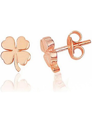 DMR Elegance Gümüş Rose Yonca Çivili Kadın Küpe