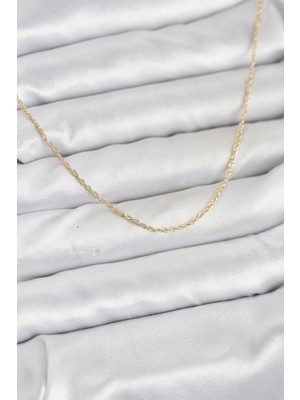 Ayder Timya CM 14K Gold Renk Burgu Model 60 cm Kadın Kolye - TJ-BKO10932 TG/Tmy229489