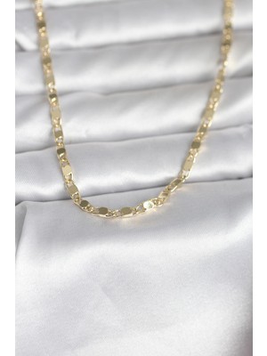 Ayder Timya CM 14K Gold Renk Arpa Model 45 cm Kadın Kolye - TJ-BKO11000 TG/Tmy229557