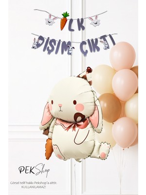 Pekshop Diş Buğdayı Parti Süsleme Seti Havuçlu Tavşan Balonlu Bannerlı Set 259