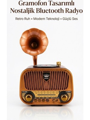 ForWhat Büro Ev Ofis Hediyesi Için Gramofon Stil Nostaljik Müzik Çalar Bluetooth Hoparlörlü Radyo