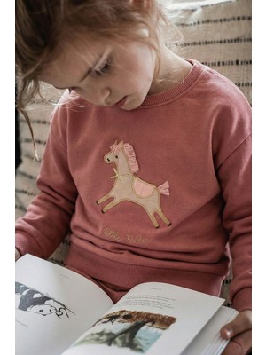 At Aplikeli Sweatshirt 1-6 Yaş Gül Kurusu
