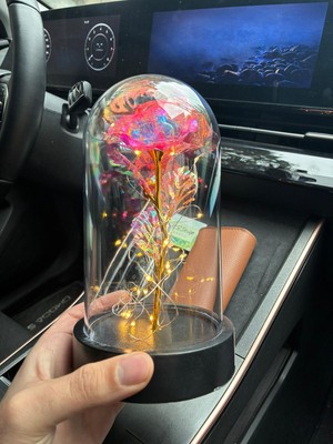 Fanus Içerisinde Ledli Solmayan Gül