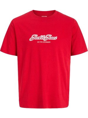 Jack & Jones Jorcatskills Çocuk Tişört