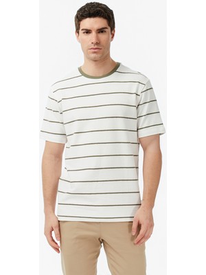 Nautica Erkek Krem Regular Fit Çizgili T-Shirt V65320T.1MA
