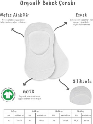 Urfakent 2'li Penye Babet Silikonlu Basic Çorap 30104 Gri Beyaz