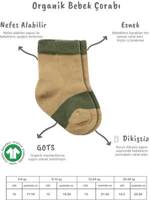 Urfakent 3'lü Penye Rainbow Soket Çorap BS10113 Nil