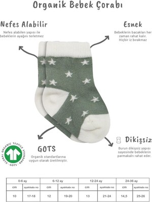 Urfakent 3'lü Penye Cute Stars Soket Çorap BS10115 Nil