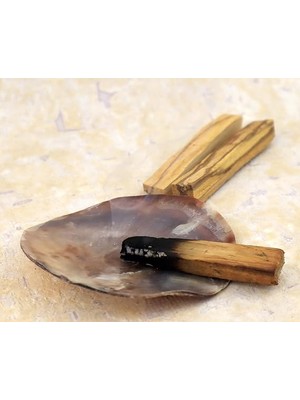 Wish Kit Placuna Enerji Başlangıç Seti : Palo Santo Tütsü ve Placuna Deniz Kabuğu Tütsülük