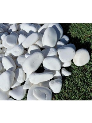 Taş 5 kg 2-4 cm Beyaz Dolomit Bahçe Taşı Çakıl Taşı Saksı Taşı Akvaryum Teraryum Taşı