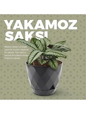 Yakamoz Prizma Saksı Drenajlı Tabaklı Plastik Çiçek Saksısı (Bej, 9.2 Lt)