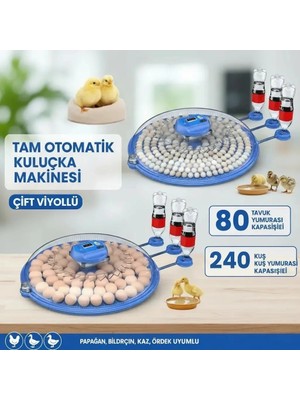 Epilons 80 ve 240 Kapasiteli Fonksiyonel Tam Otomatik Kuluçka Papağan Mini Kuş Tavuk Kaz Ördek Uyumlu