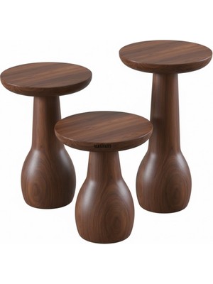 Masifart Pixar Vazo Mantar Zigon Sehpa