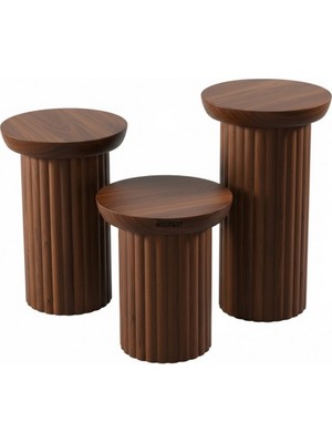 Masifart Inter Ptt Mantar Zigon Sehpa