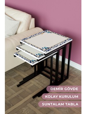 Hediyeler Kapında "ıvy" 3'lü Metal Zigon Sehpa Takımı Metal Ayak Yan Sehpa Seti