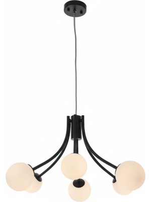 Ronisu Aydınlatma Zafira Camlı Modern Avize Ra-Avz- 2405-98-73