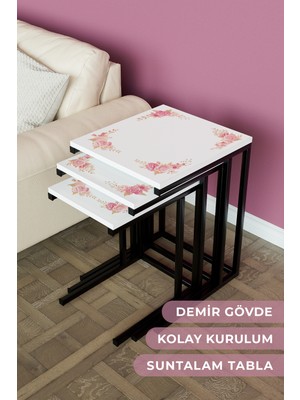 Hediyeler Kapında "rosie"3'lü Metal Zigon Sehpa Takımı Metal Ayak Yan Sehpa Seti