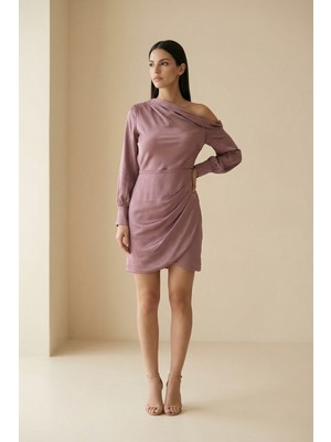 Setre Gül Kurusu Uzun Kollu Yaka Detaylı Mini Elbise