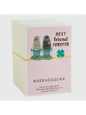 Renklime 3'lü Arkadaşlık Bileklik Kartı