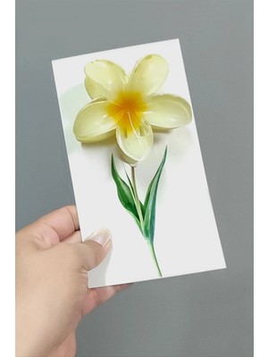 Renklime 100 Adet Sarı Lotus Toka 8 cm Kına Seti