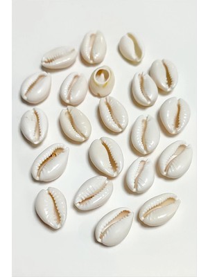 Renklime 10 Adet Orjinal Istiridye Aparatı Orta