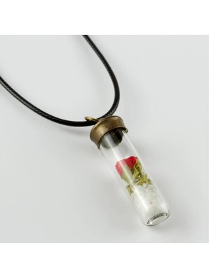 Renklime Gül Fanus Canlı Kolye