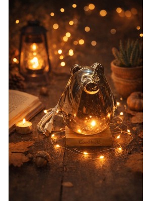 Seymen Bıçakçılık Usb’li Cam Ayı Figürlü LED Dekoratif Masa Lambası – Ahşap Tabanlı Ortam Aydınlatması