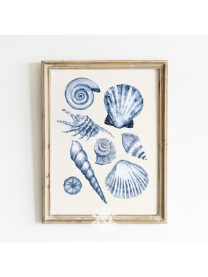 Ninastore Deniz Kabuğu Sanatı Baskısı/ Sahil Temalı Torun Estetiği/ Mavi Vintage Deniz Kabukları Dijital Baskı