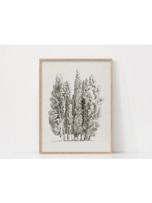 Ninastore Eski Tarz Ağaç Çizimi / Yazdırılabilir Duvar Sanatı / Eski Tarz Sanat Baskıları / Rustik Duvar Sanat