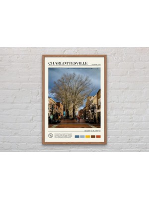 Ninastore Gerçek Fotoğraf/ Charlottesville Baskısı/ Charlottesville Duvar Sanatı/ Charlottesville Posteri/ Cha