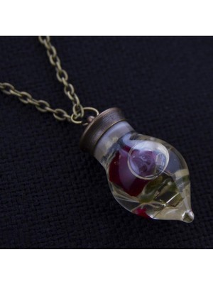 Renklime Sulu Fanus Kolye